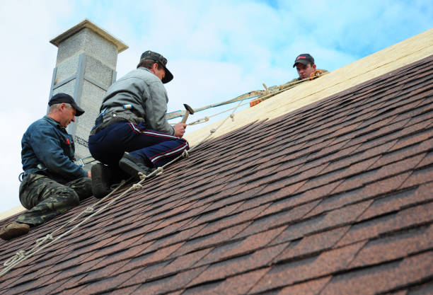 Best Roof Maintenance Services  in Urbancrest, OH